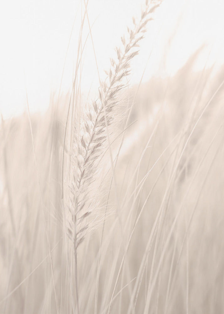 Grass_001 | Leinwand