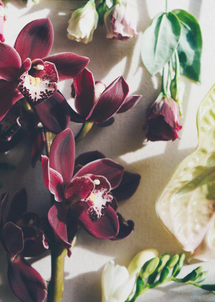 Orchideen-Eleganz | Leinwand