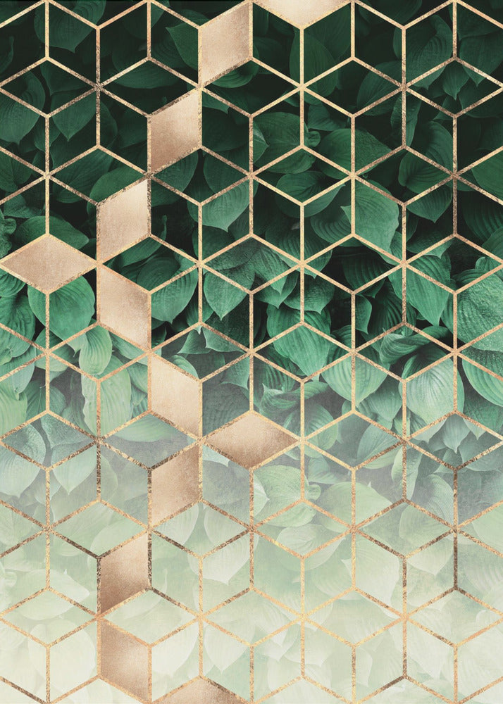 Leaves And Cubes | Poster