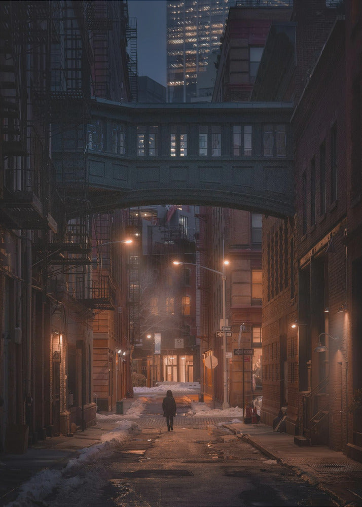 Unter der Skybridge | Poster