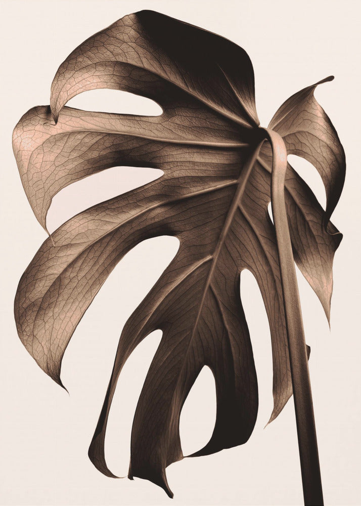 Monstera Gold | Leinwand