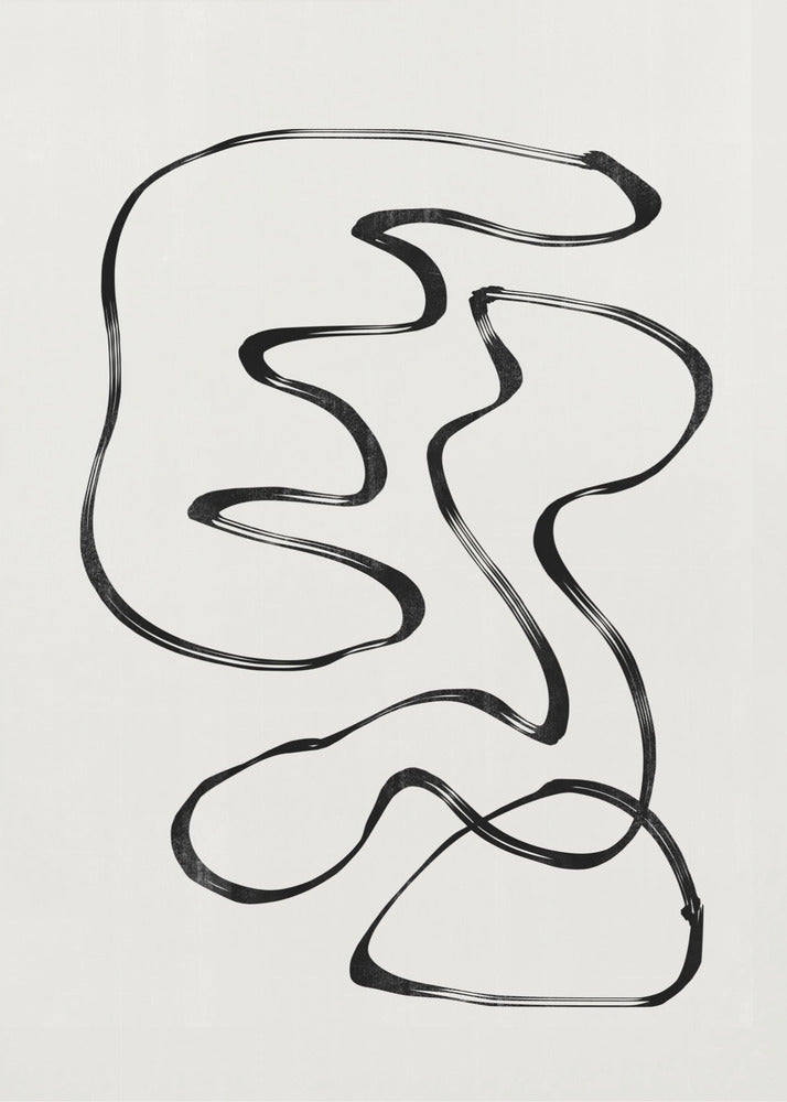 Geschwungene monochrome Pfade | Poster