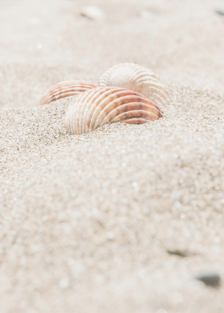 Beach_014 | Canvas