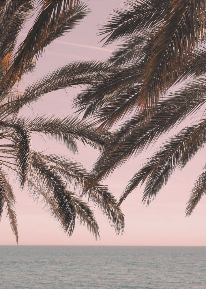 Palme_011 | Leinwand