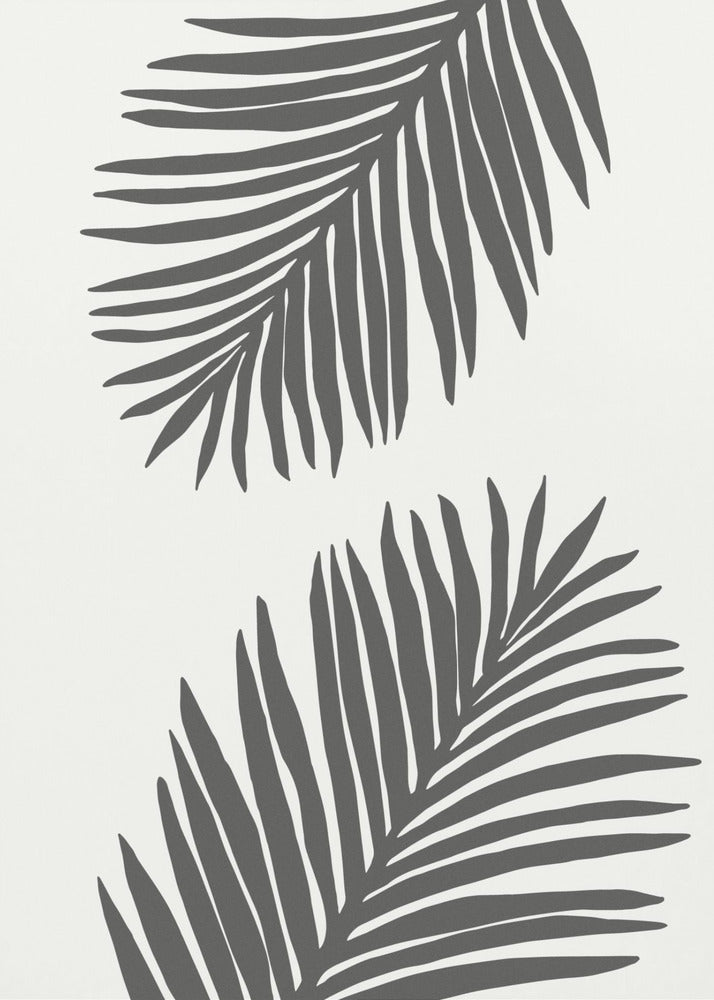 PALM LEAF 12 GRAPHITE GRAY | Canvas