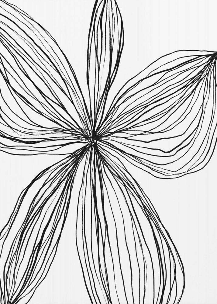 Minimalistische schwarz-weiße Blütenblätter | Leinwand
