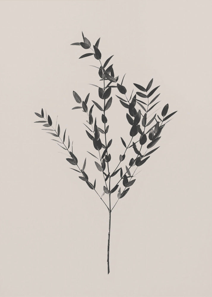 Tintenfarbenes Botanisches Poster