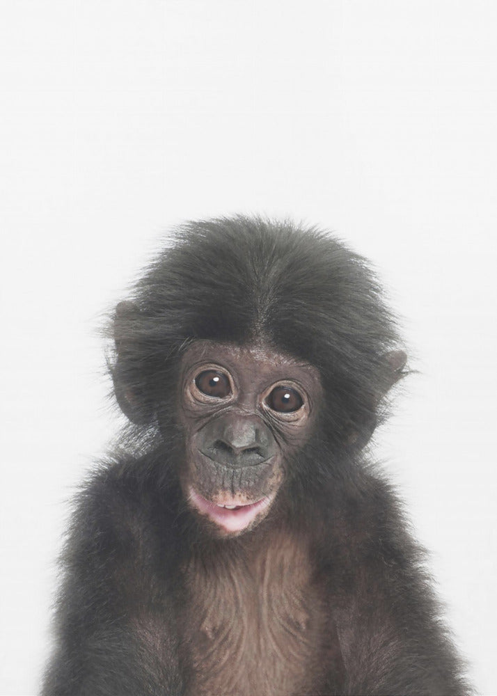 Baby Affe | Poster