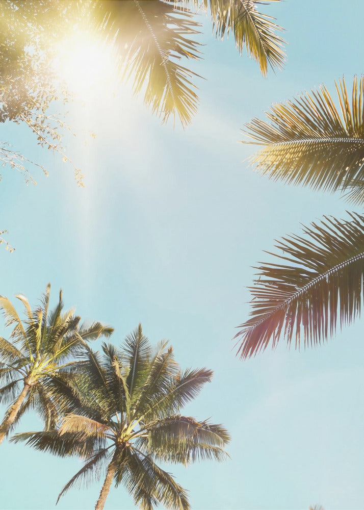 Sun Rays | Poster