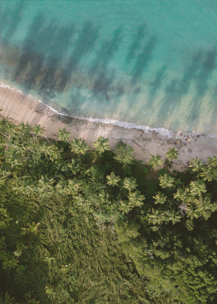 Palm Beach von oben | Leinwand