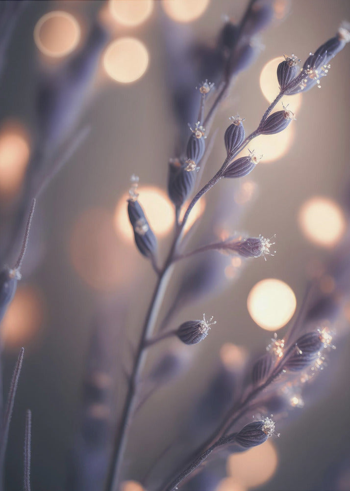 Dreamy Lavender Hues | Poster
