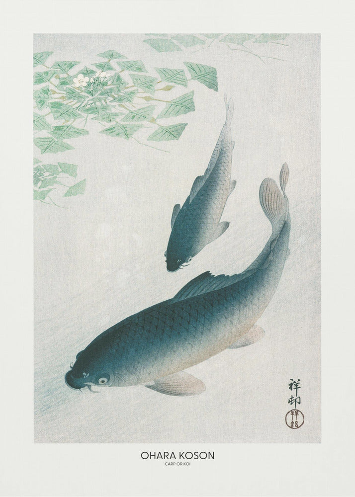 Carp Or Koi | Poster