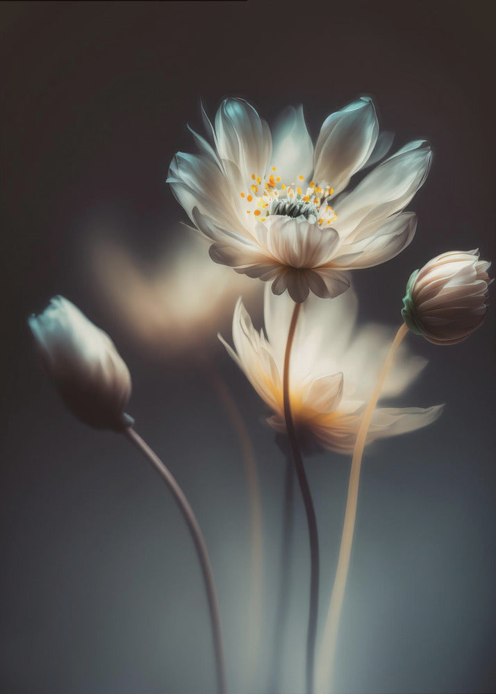 Ätherische Blüten | Poster