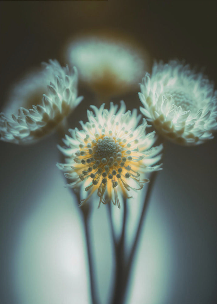 Ätherische Blüten | Leinwand