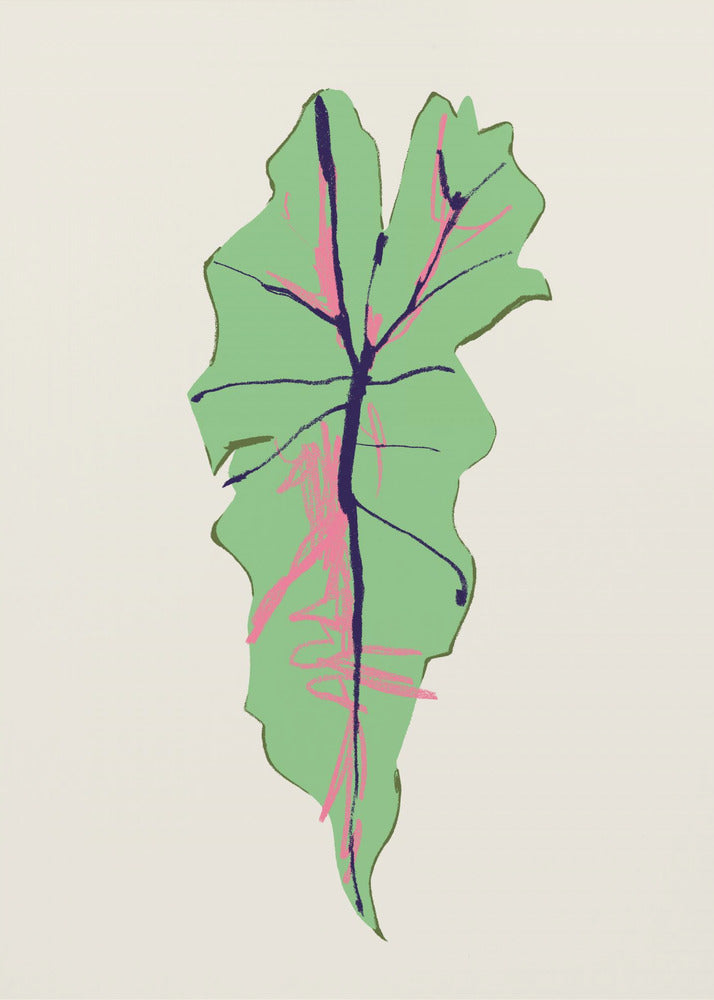 Alocasia Polly | Canvas
