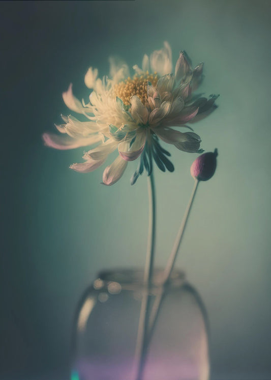 Ätherische Blüte | Poster