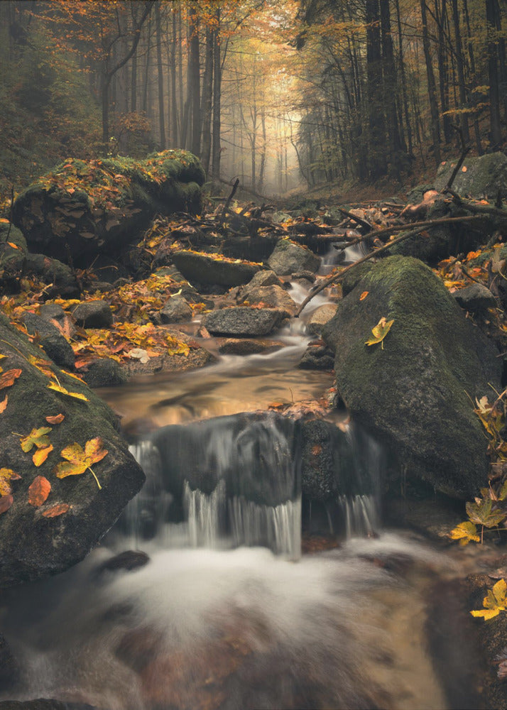 Verträumter Herbst | Poster