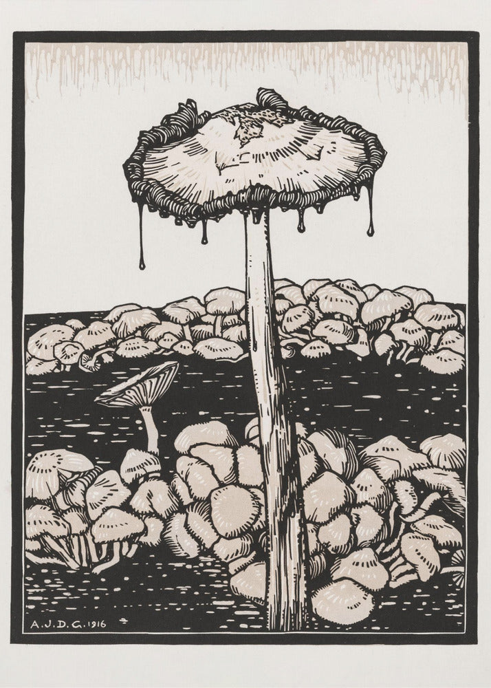 Tropfender Pilz 1916 | Leinwand