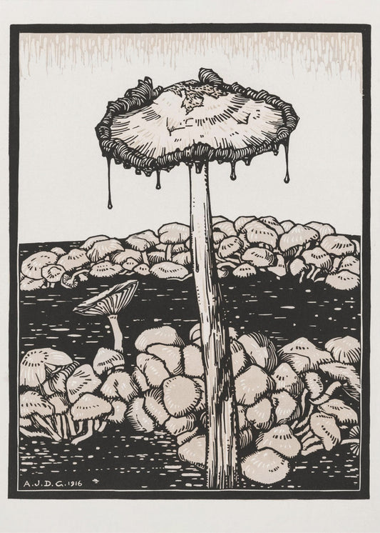Tropfender Pilz 1916 | Leinwand