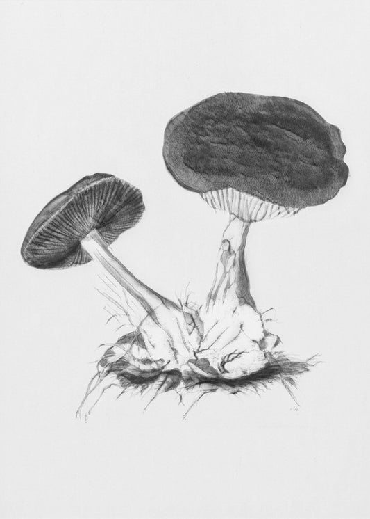 Vintager violetter Webcap-Pilz, helles Schwarzweiß-Poster