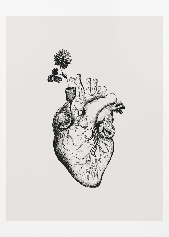 Heart Bloom | Canvas