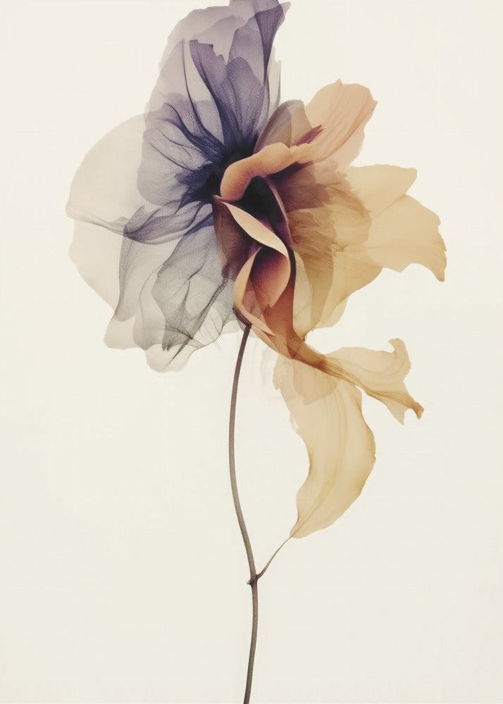 Chiffonblume | Leinwand