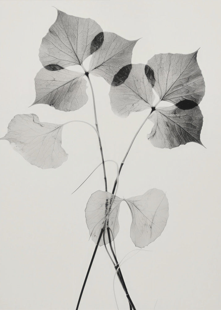 Ethereal Leaves | Canvas