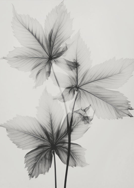 Ätherische Adern | Poster