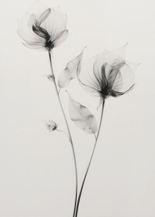 Ätherische Blüten | Poster
