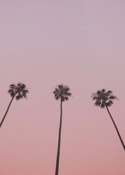 Pink Sky Trio | Canvas