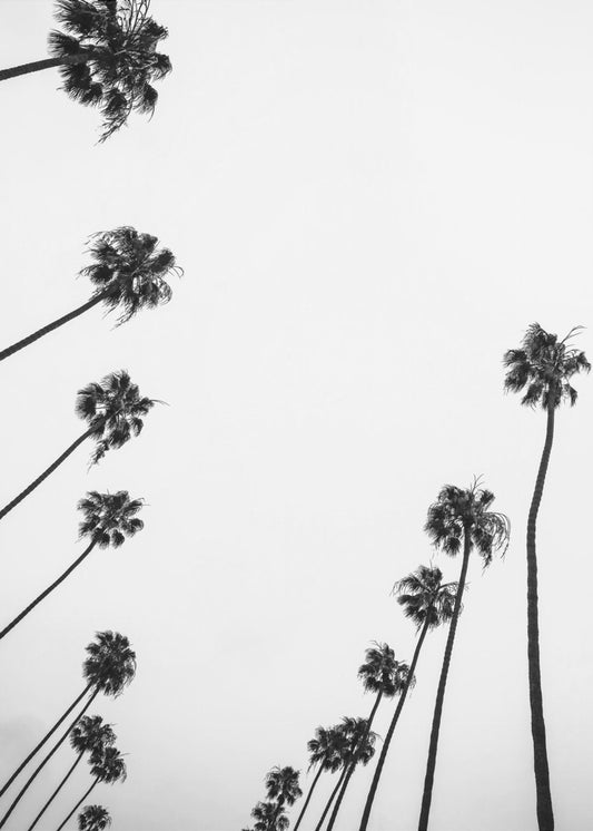 Flüstern im Himmel | Leinwand