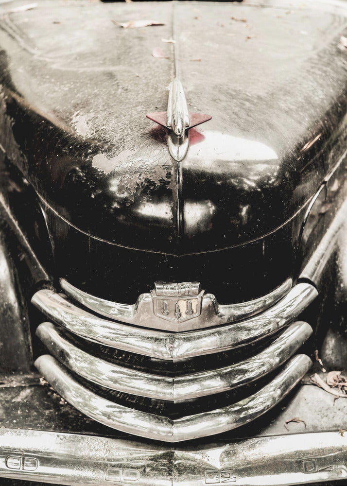 Vintage-Eleganz | Poster