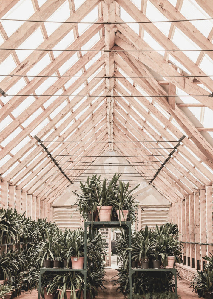 Serene Greenhouse | Poster