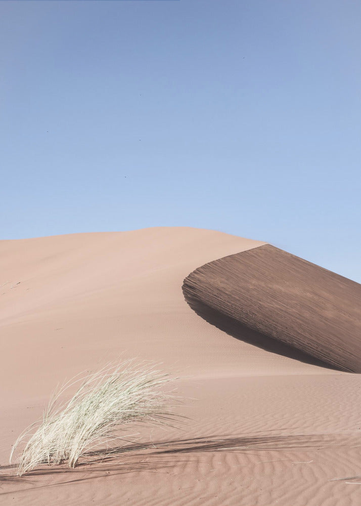 Desert Morningscape | Canvas