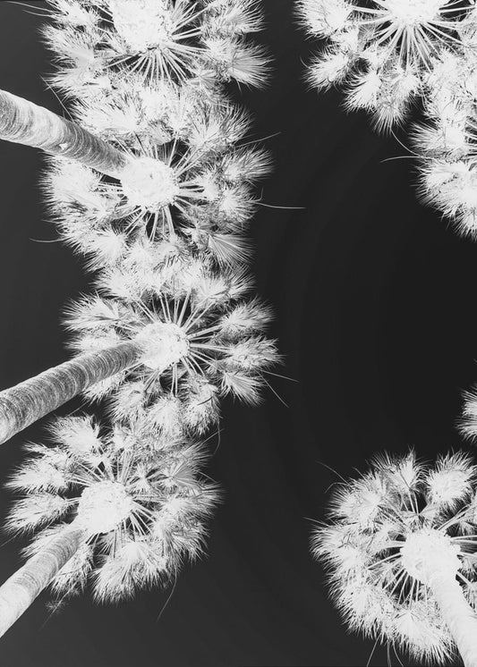 Umgekehrte Palmenlandschaft | Poster