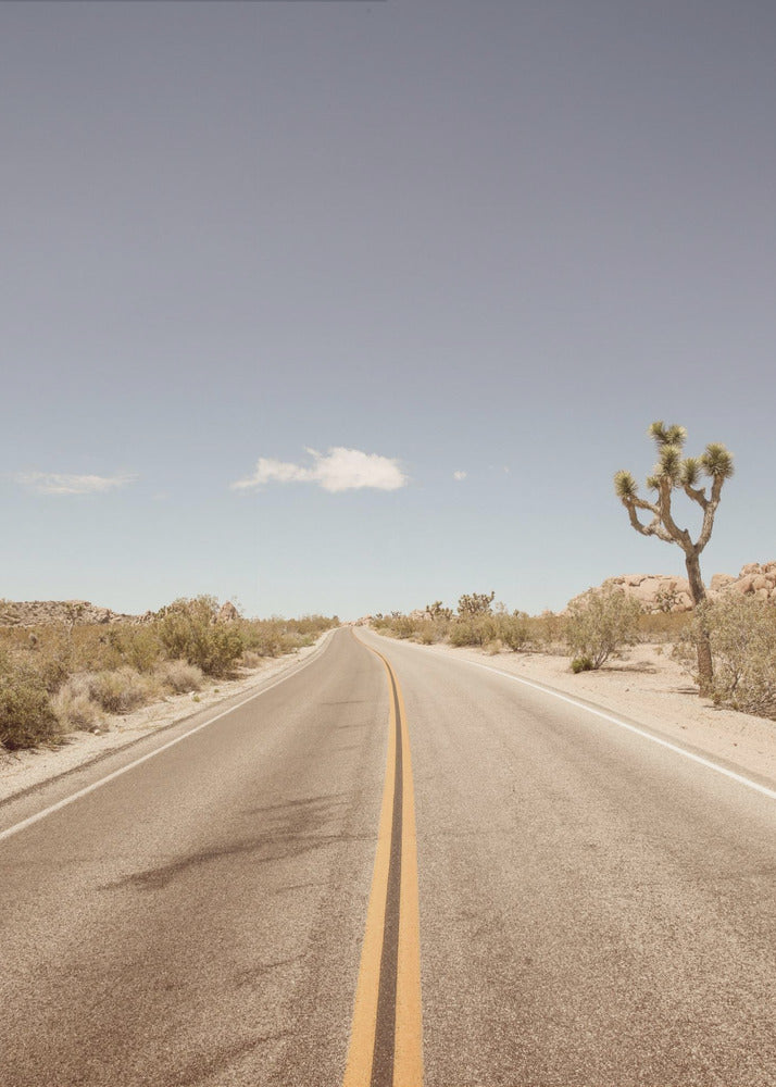 Deserted Highway | Poster
