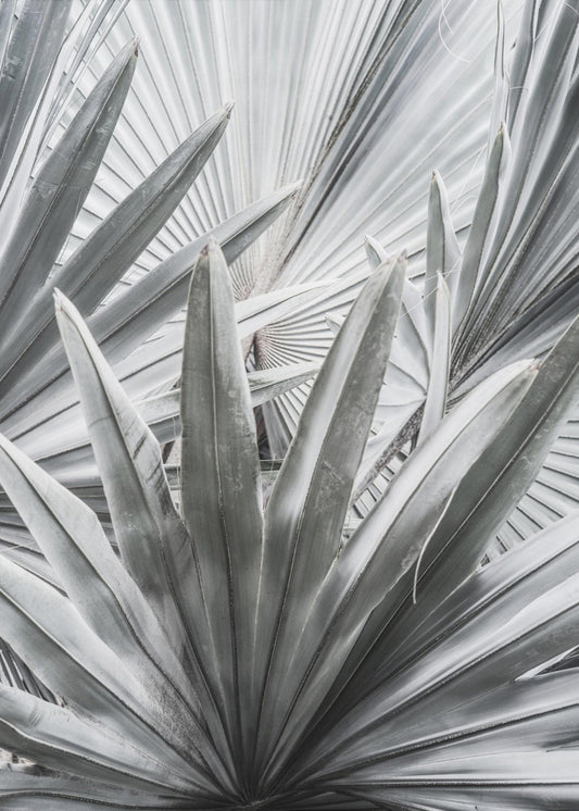 Silberspray | Poster