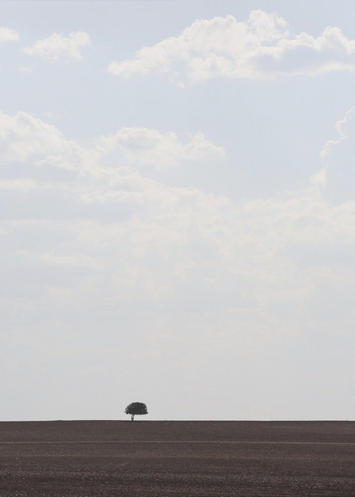 Swart Land | Poster