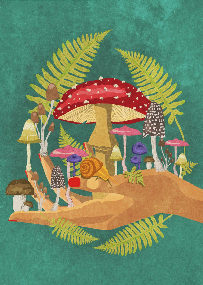 My Mushroom Cosmos | Canvas