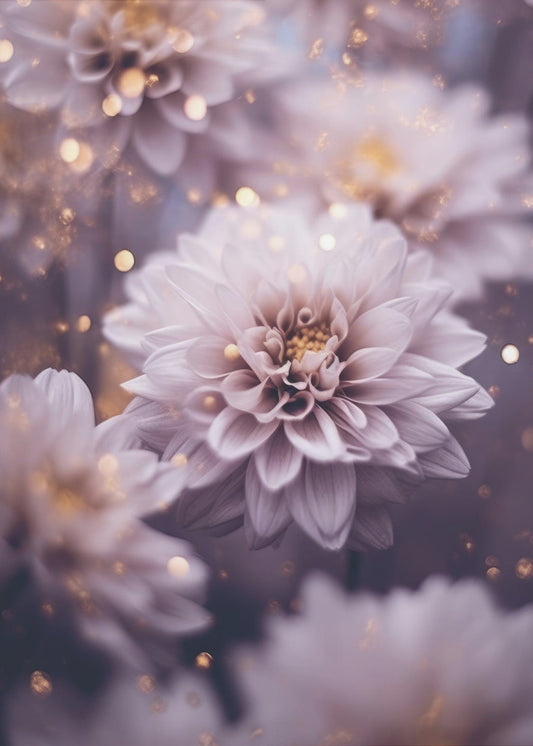 Blütenträume | Poster