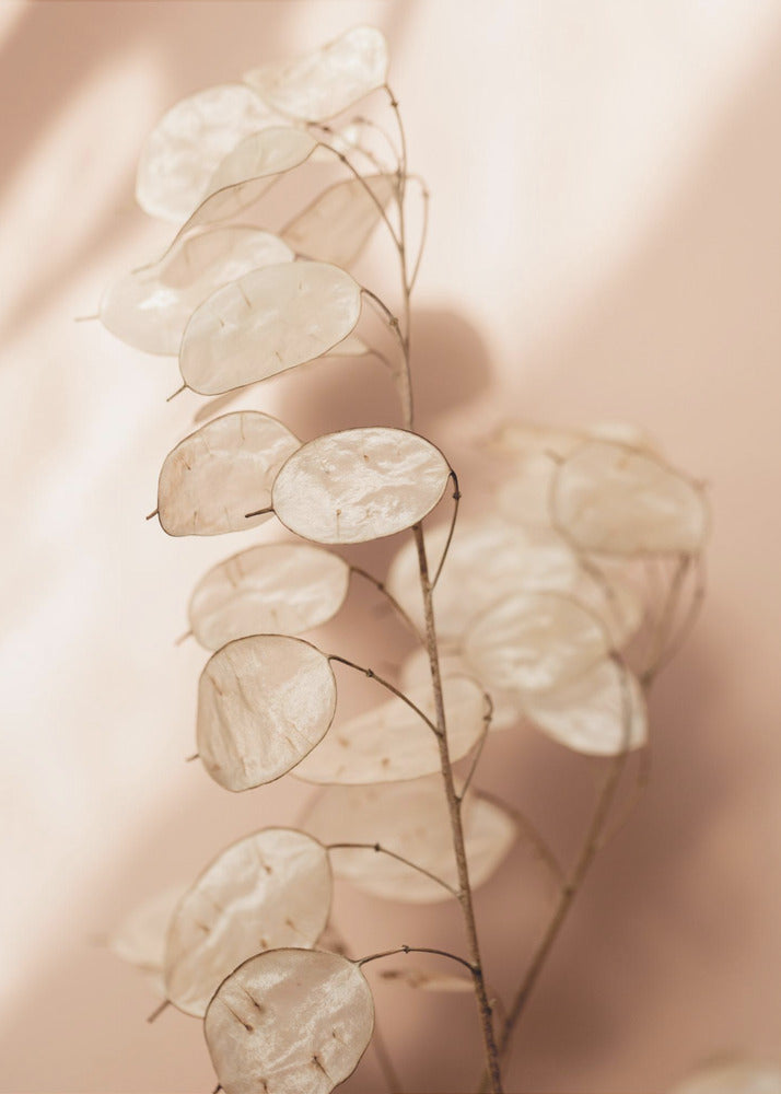 Last Summer 12 | Canvas