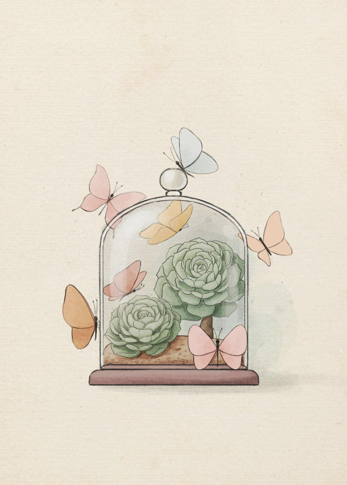Succulent Fairy Plant | Canvas