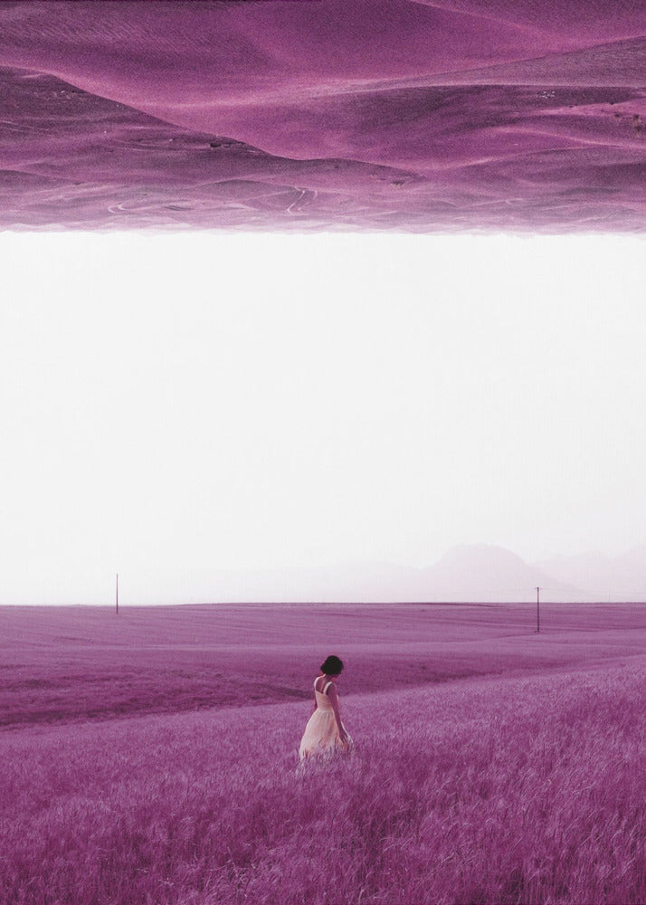 Lila Felder | Poster
