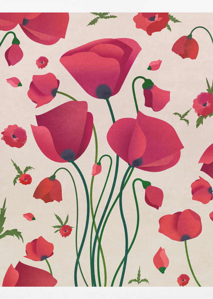 Mohnblüten | Poster