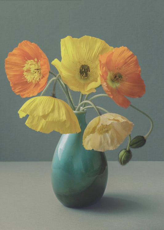 Icelandic Poppy Still Life | Poster