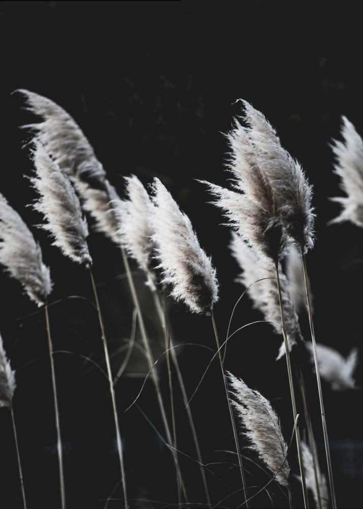 Grass 4 | Canvas