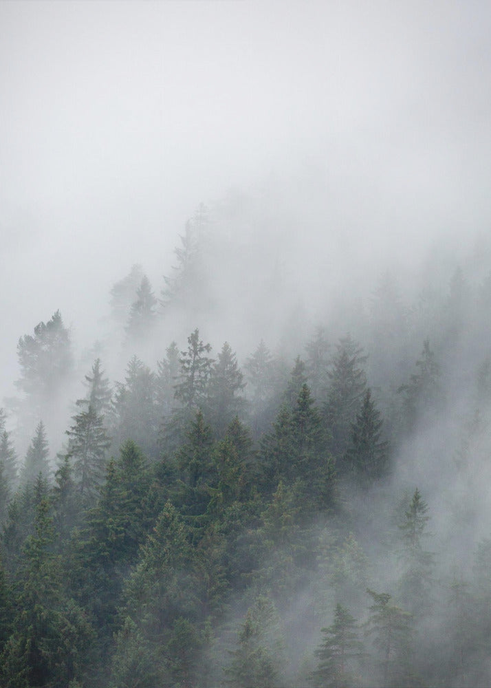 Nebliger Morgen 2 | Leinwand