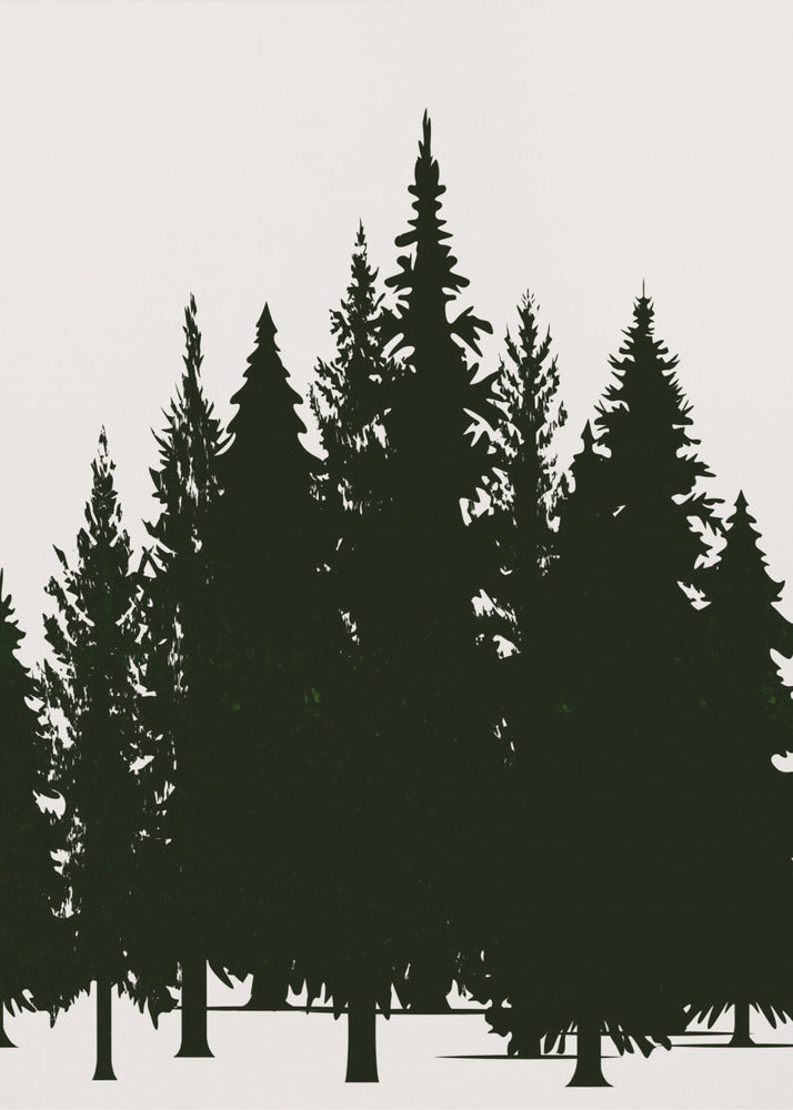 Tannenwald (dunkel) | Leinwand
