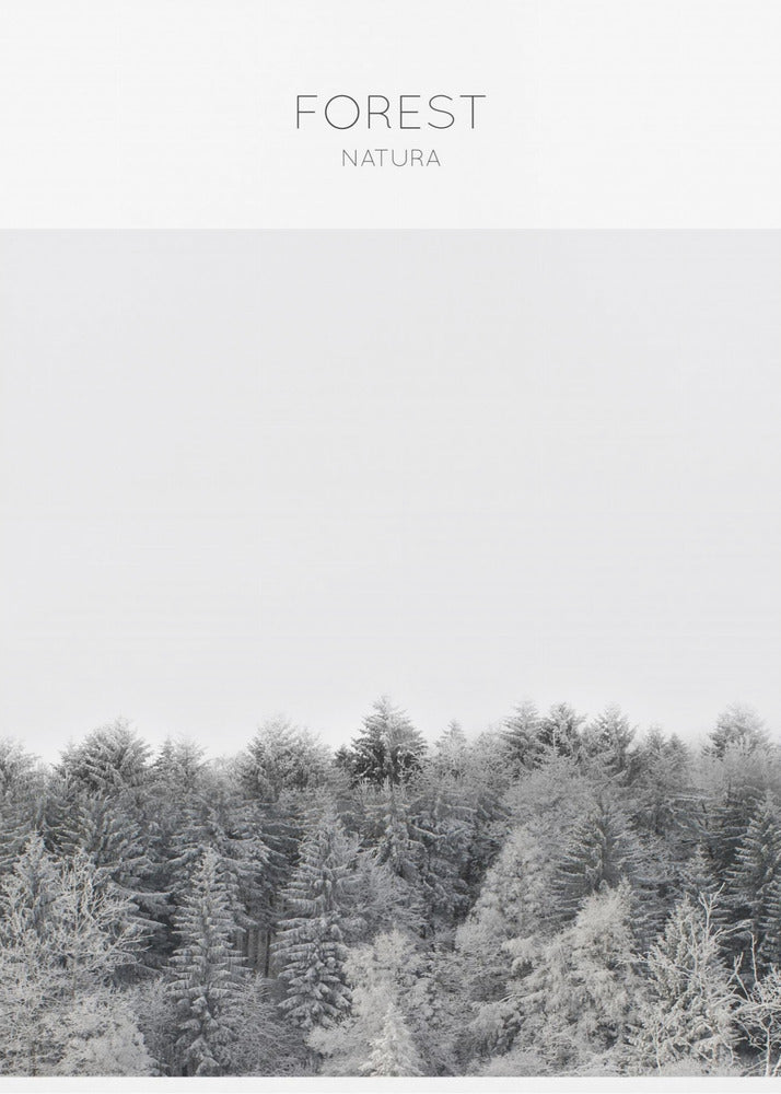Frosted Tranquility | Poster