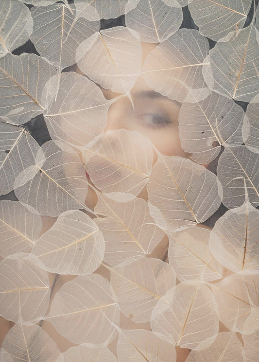 BEHIND GLASS | Canvas